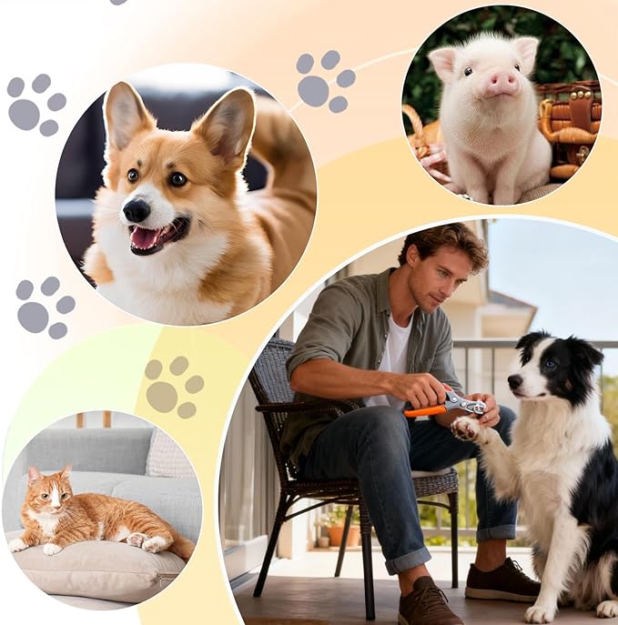 Cat Nail Clipper - with Magnifying Mirror for Precise Grooming, Dog Toenail Clippers with Safety Guard for Kitten Puppy Small Animals Rabbit Grooming Trimming Clipping, Ergonomic Handle Design