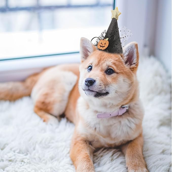 UPKOCH 2pcs Halloween Pet Hats Adjustable Party Caps for Dogs and Cats, Pumpkin Design, Purple Black, Halloween Costume Accessories for Pet Supplies
