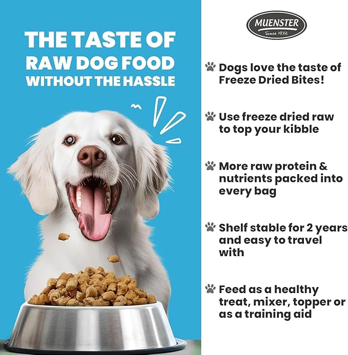Muenster Freeze Dried Elk Bites - Dog Food, Treat, Mixer or Topper (16oz) - Grain-Free