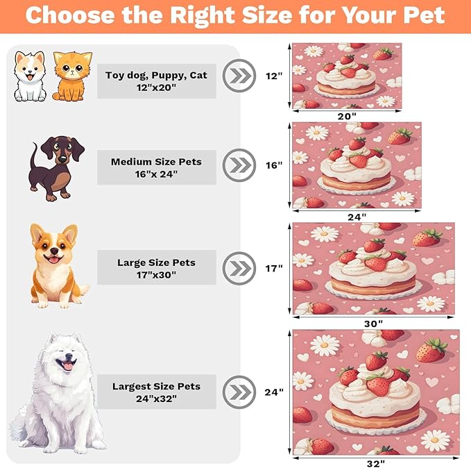 Strawberry Cake Dog Food Mat for Floors Absorbent Dog Bowl Mat for Food and Water Dispenser Quick Dry Cat Food Placemat Pet Supplies 24" x 32", Daisy Flower