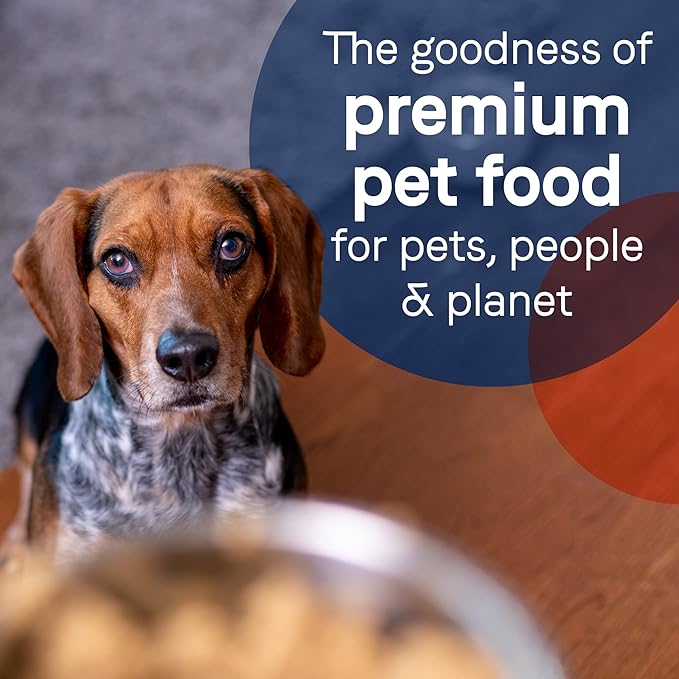 Canidae Pure Limited Ingredient Premium Adult Wet Dog Food, Lamb Recipe, 13 oz. (Case of 12), Grain Free