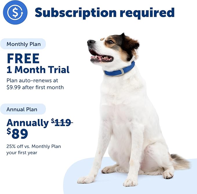 PetSafe Guardian GPS Tracking Dog Fence Collar - Reliable Dog Fence - Wireless Virtual System - Waterproof Collar - Long Lasting Battery - Blue