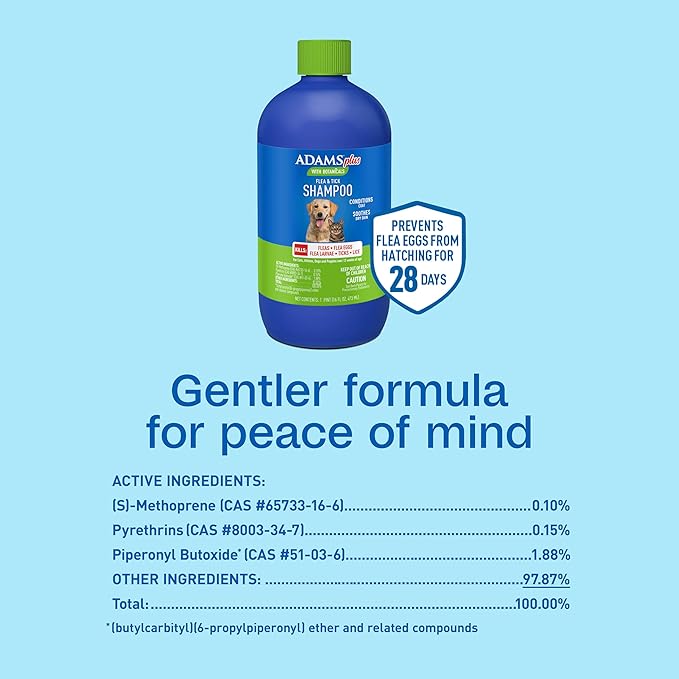 ADAMS Plus with Botanicals Flea & Tick Shampoo, for Cats, Kittens, Dogs & Puppies Over 12 Weeks of Age, Kills Adult Fleas, Flea Eggs, Ticks and Lice, 16 fl oz