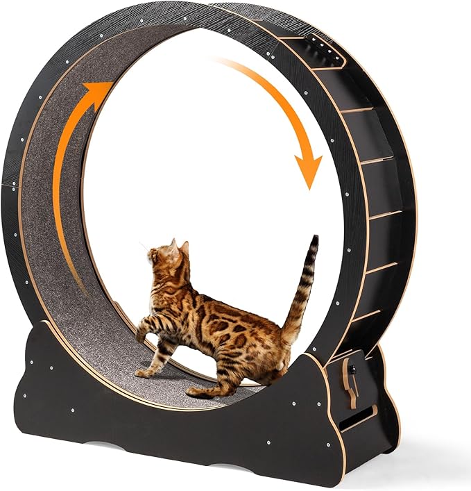 VINGLI Cat Wheel Exerciser for Indoor Cats, 43" Large Cat Exercise Wheel, Silent Kitten Running Wheel with Safety Lock, Black (Extra Large-43.3 inch)