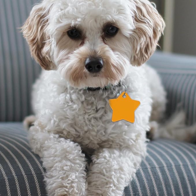 10pcs Colorful Pet Id Tags Aluminum Star-Shaped Dog Collar Pendants Sturdy Address Neck Tags for Cats and Dogs Anti-Lost Pet Supplies Random Color