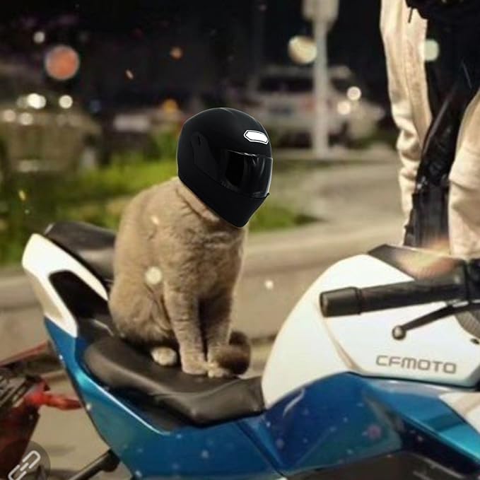 Pet Motorcycle Helmet for Cat/Dog, Full Face, Outdoor, Black