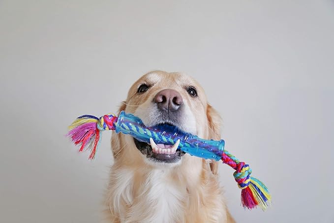 Petstages Orka Stick Alternative Dog Chew Toy
