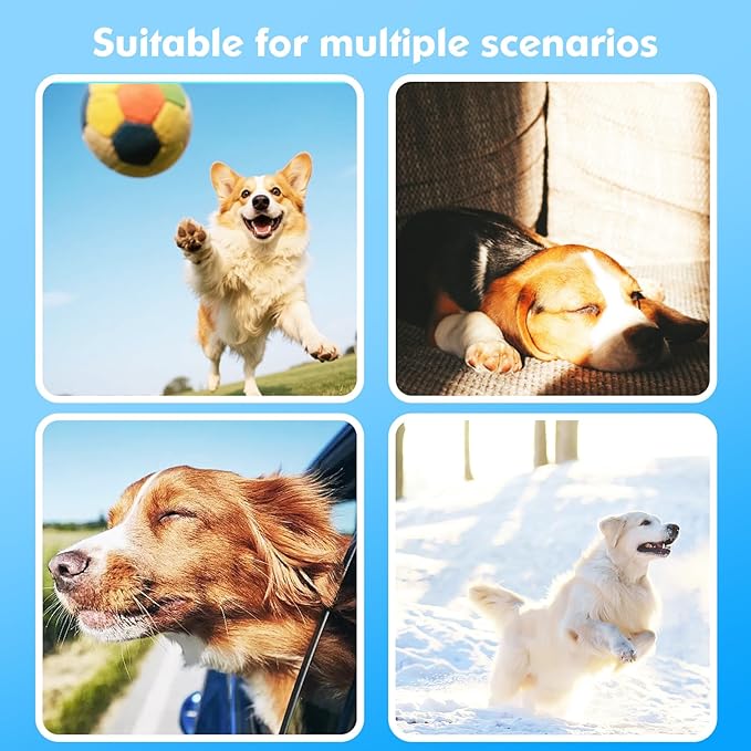 GPS Tracker for Dogs, 2 in 1 Pet Tracking Smart Collar (Only iOS), No Monthly Fee GPS Tracker Dog Collar, Real-time Location Comfortable PU Tracker Tag for Small, Medium Large Dogs(Locator Included)
