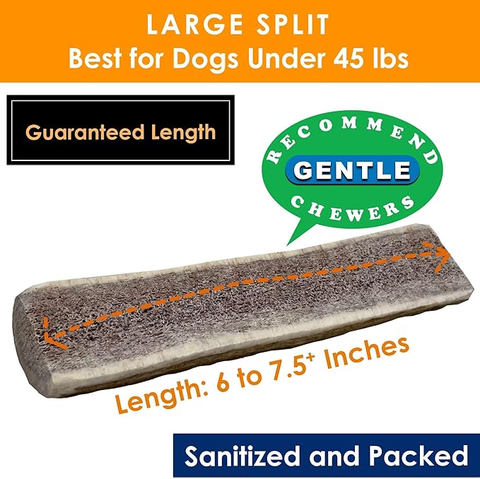 3-Pack Large Split Elk Antler Dog Chews (6 to 7.5+ in) – All-Natural, Long-Lasting Antlers for Small & Medium Dogs Under 45 lbs, Gentle Chewers & Puppies, Dental Health & Odorless