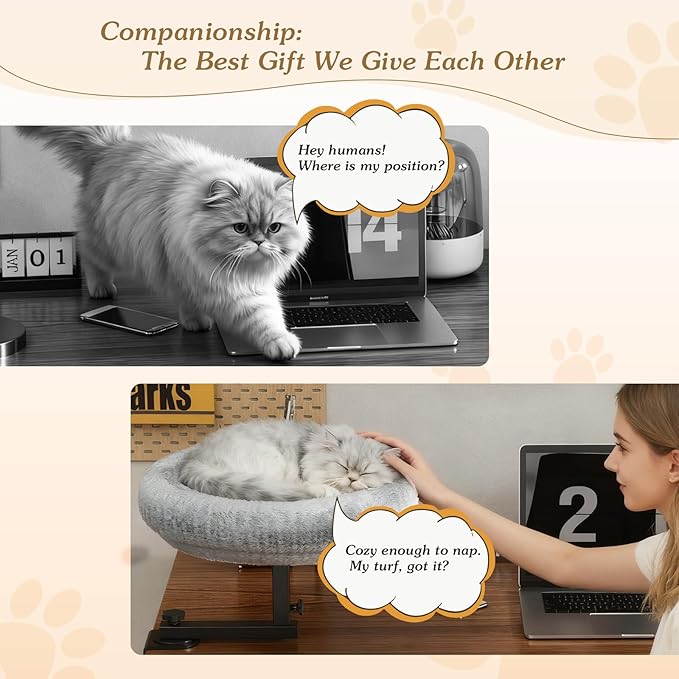 VERIFOST Cat Bed for Desk with Adjustable Height & 360 Rotation Elevated, Heavy-Duty Cat Desk Bed for Small Space, Soft & Comfortable Modern Unique Kitten Furniture, Indoor Cats Up to 60 lbs (Gray)