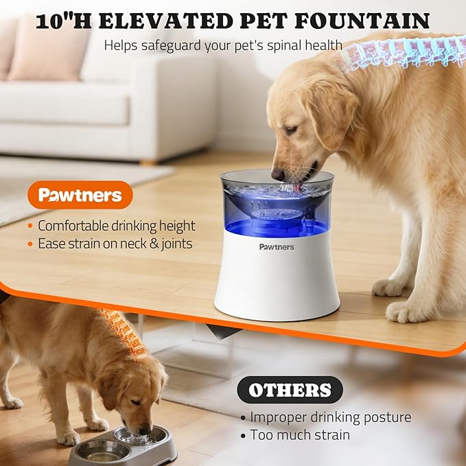 Pawtners Dog Water Fountain, 1 Gallon Automatic No Spill Pet Water Bowl Dispenser for Small Medium Large Dogs with Vortex Filter, Deep Drinking Area and Quiet Pump