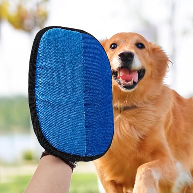 HouseVibe Pet Hair Remover Glove Professional Grooming Comb Detangling Brush for Dogs Cats Rabbits Small Animals Clothes Furniture 9.45x7.28 inch- Blue