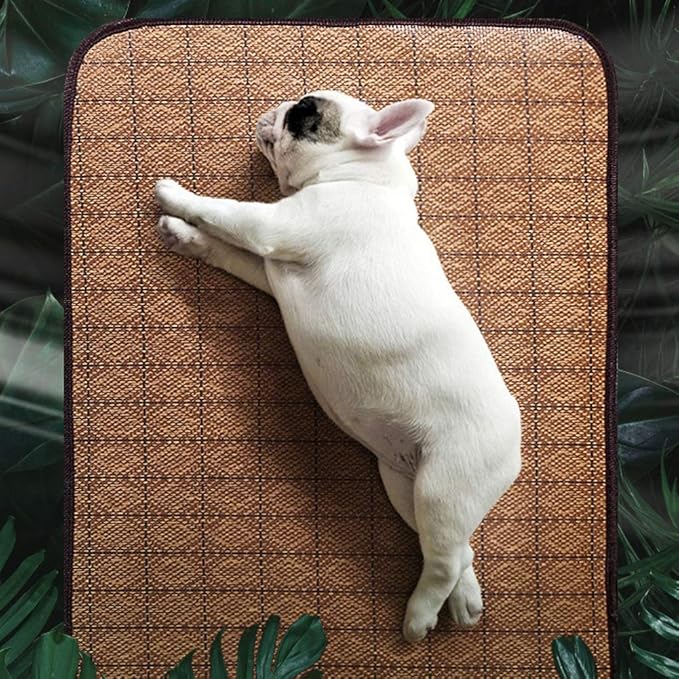 AYNEFY Doublesided Pet Mat Dog Daily Supplies Rattan and Warm Plush Cat Dog Bed for Summer Winter Use with Strong Edging for Cages Or Floor Doublesided Pet Mat Soft Breathable Cooling (M)