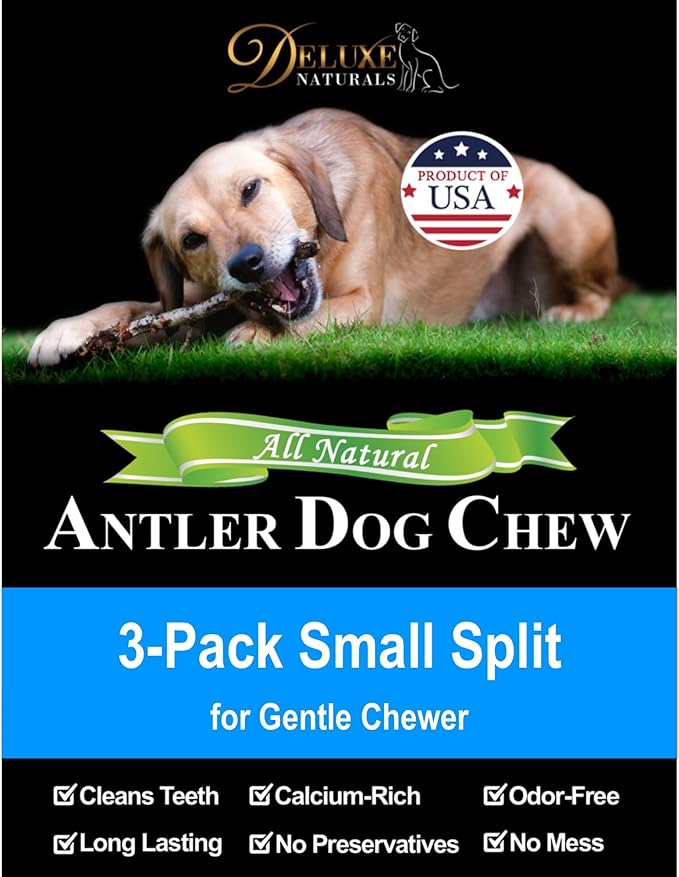 3-Pack Small Split Elk Antler Dog Chews (5 to 6.5+ in) – All Natural, Premium Grade A, Odor-Free, USA-Sourced – Long-Lasting Dental Treats for Toy and Small Dogs Under 15 lbs