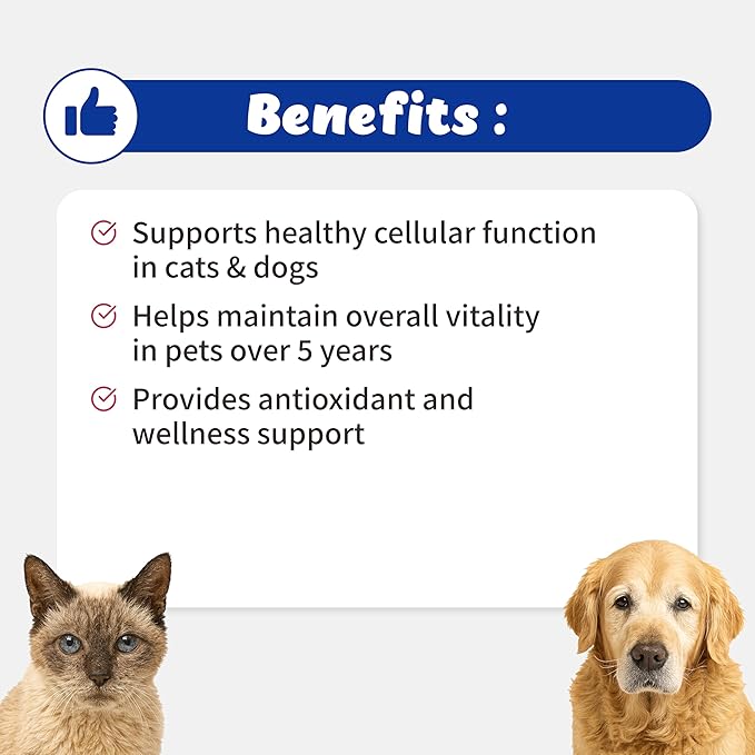 NAD+ CellVet Vitality Blend for Cats & Dogs – Cellular Resilience : Nicotinamide Riboside Chloride, Resveratrol (54g)