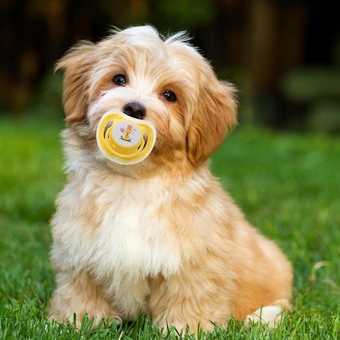 4Pcs Kitten Teething Toys, Food-Grade Safe Puppy Pacifier Teething Toys with Lid, Cute Chewable Kitten Pacifier Soothing Essential Pet Supplies Chew