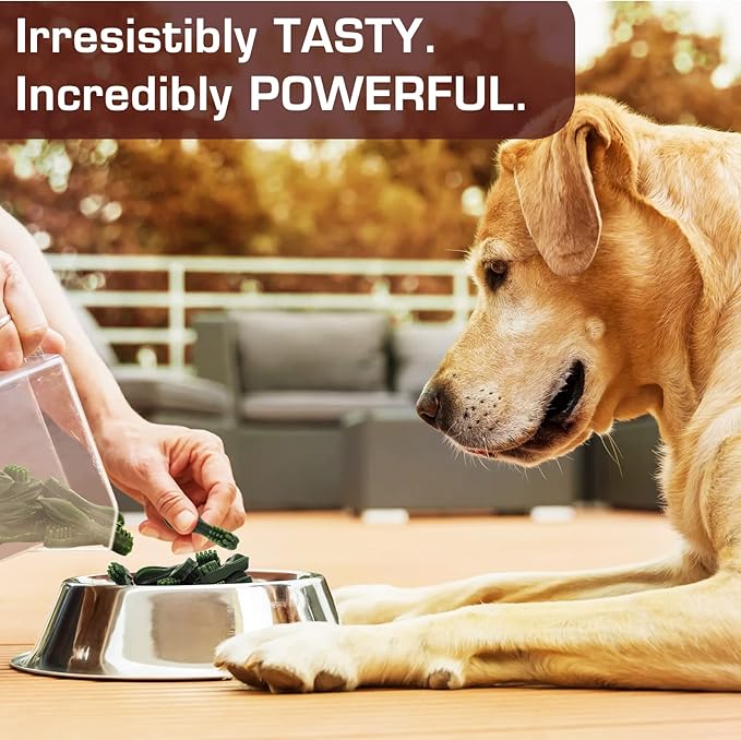 UrbanX HealthyBones Original Natural Dog Dental Care Mint Snacks Oral Health Dog Food for Tibetan Spaniel and Other Small Companion Dogs, 15 Count