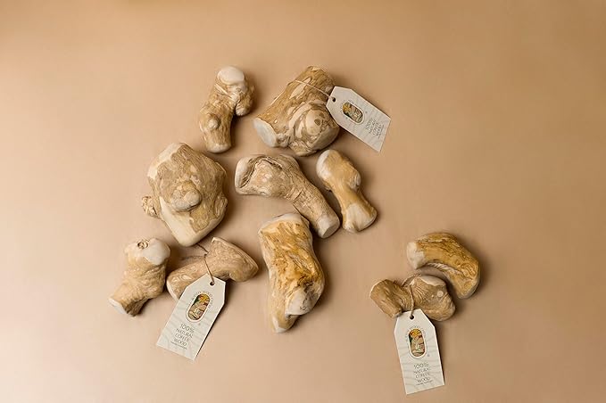 Coffee Wood Toys for Dog - Gorilla Chew, Natural Dog Bone Alternative, Durable, Long Lasting ...(S (Single)