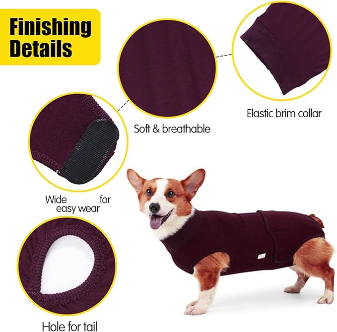 Polyester Dog Surgeries Bodysuit Ensuring and Comfortable During and Post Recovery Clothing Pet Supply Dog Recovery Jumpsuit