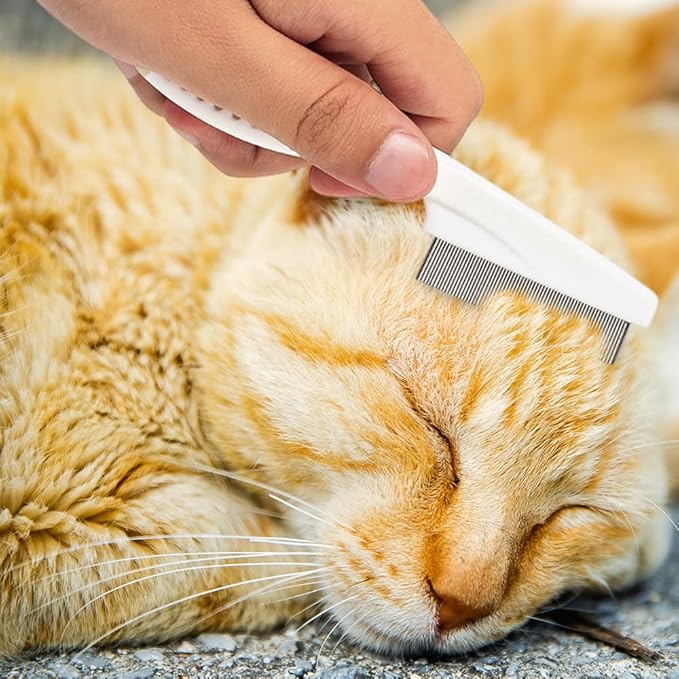 Multifunctional Magic Tear Stain Removal Comb, 2024 New Fine-Tooth Stainless Massage Comb Kit for Small Dogs and Puppies (Blue)