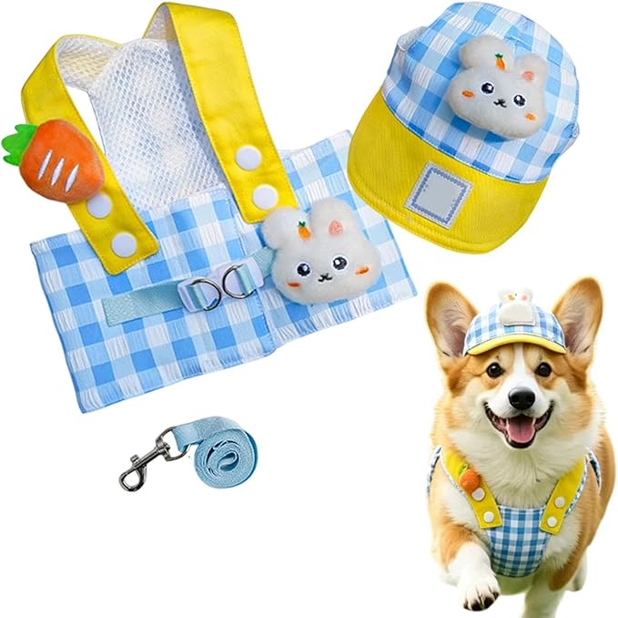 Harness for Dogs - Pet Accessories with Hat, Vest Harness with Training Leash for Dog, for Puppy Running Outdoors Shopping Daily Walks and Outdoor Activities