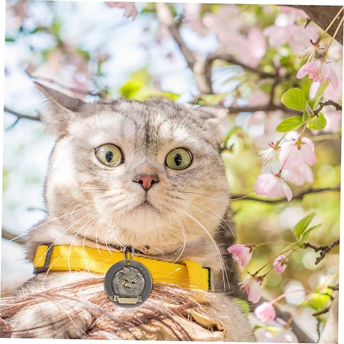 Luxshiny 3pcs Vintage Bronze Pet Id Tags Dog Supply Pomeranian Collar Accessories Retro Dog Name Tags for Small