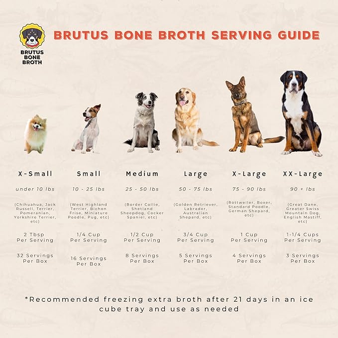 Brutus Bone Broth for Dogs (Beef, 2-Pack) On The Go Instant Bone Broth (Beef, 5-Pack)