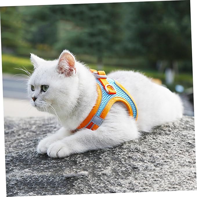 SUPVOX Pet Vest Leash with Reflective Breathable Mesh, No Pull Dog Harness and Puppy Walking Leash, Medium Size, Orange Set for Safe Outdoor Pet Supply