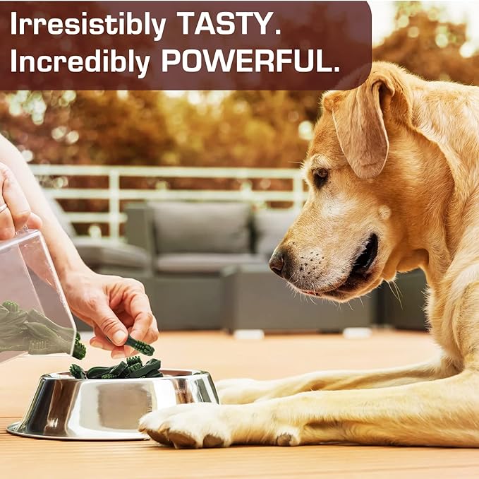 UrbanX HealthyBones Original Natural Dog Dental Care Mint Snacks Oral Health Dog Food for Havapoo and Other Med Mixed Breed Dogs, 15 Count