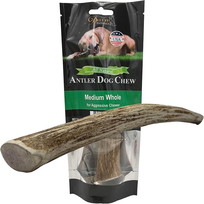 1-Pack Medium Whole Elk Antler Dog Chews (5.5 to 8+ in) – Long Lasting Natural Dog Bones for Moderate to Aggressive Chewers Under 40 lbs – Antlers for Dogs, Teeth Cleaning, No Rawhide