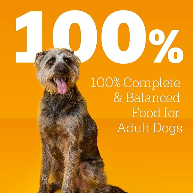 Pedigree High Protein Wet Dog Food, Adult Soft Canned Dog Food Variety Pack, Chicken Duck & Beef Bison Flavor, 13.2 oz. Cans, 12 Count
