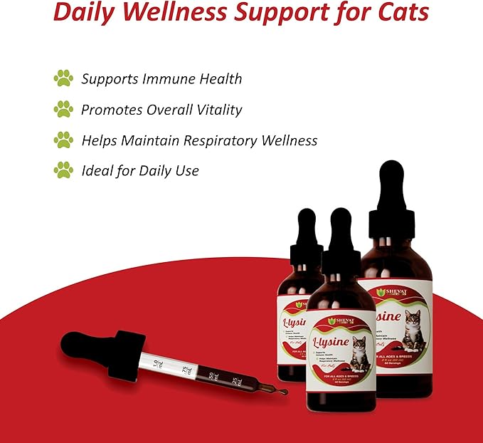 L-Lysine Liquid Supplement for Cats – Immune & Respiratory Support – Supports Eye Health, Sneezing & Runny Nose – 60ml Liquid Drops – Roast Chicken Flavor