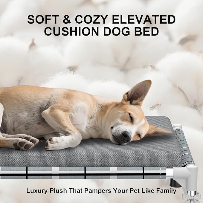 Elevated Raised Outdoor Dog Bed - Cooling Lifted Outside Dogs Bed with Cushion Mat Dog Hammock Bed with Stainless Steel Frame Portable Puppy Pet Bed for Indoor & Outdoor (M:34" x 26" x 8")