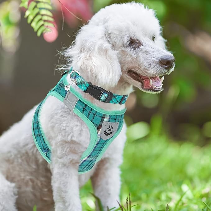 PUPTECK Adjustable Dog Harness Collar and Leash Set Step in No Pull Pet Harness for Small Medium Dogs Puppy and Cats Outdoor Walking Running, Soft Mesh Padded Reflective Vest Harnesses, Lake Green S