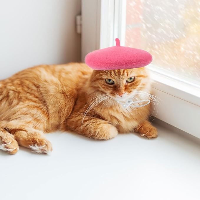 UPKOCH Pet Beret Hat for Dogs and Cats, Small Rose Party Headwear, Cute Puppy and Kitten Photo Costume Accessory for Pet Supplies