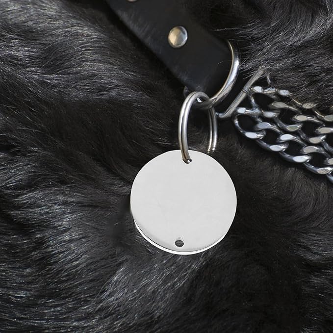 Stainless Steel Double-Hole Round Id Tags 20mm Mirror Polished Metal Stamping Blanks for Puppy Name Tags Pet Collar Engravable 6pcs for DIY Pet Supplies