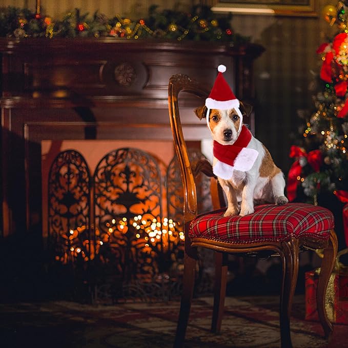 SHOWERORO Christmas Pet Costume Set Dog and Cat Scarf and Hat Accessories L Size Holiday Party Supplies