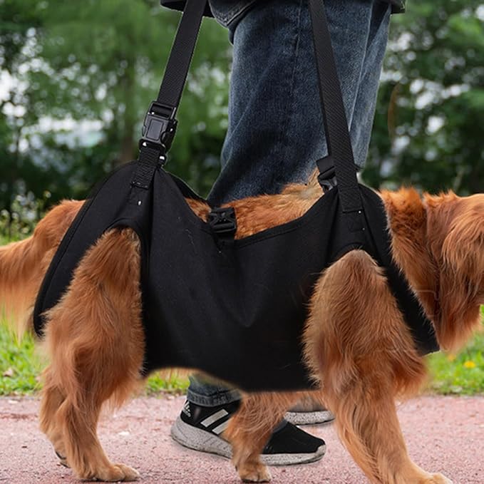 Dog for Large Leg Lift Harness for Injured Elderly Dogs Disabled Pet Supplies Lift Harness