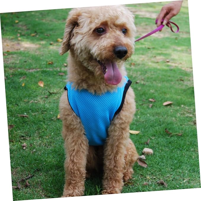 Pet Dog Cooling Vest Breathable Sleeveless Mesh Shirt Blue M Summer Cooling Clothes Puppy Summer Costume Pet Supplies