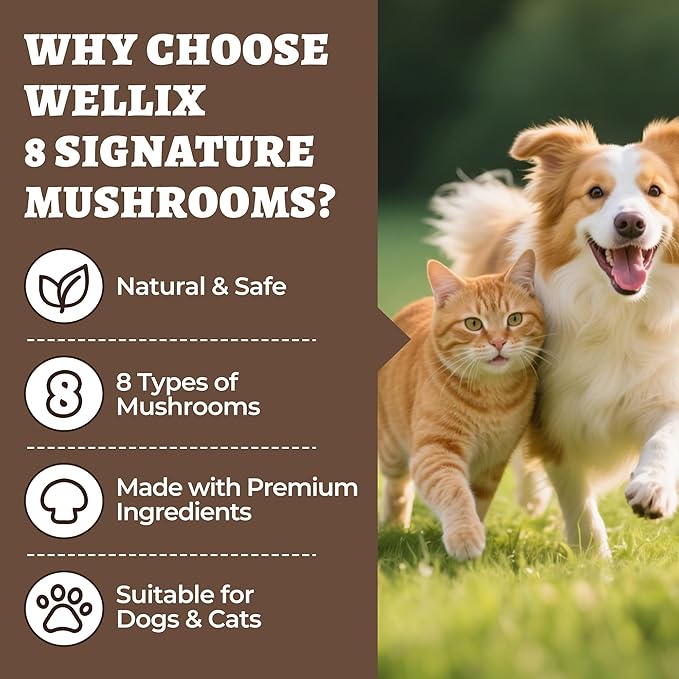 Wellix Mushroom Powder Supplements for Dogs & Cats - Lumps & Bumps Dog Supplement - 8 Types of Mushrooms, Turkey Tail Mushroom for Dogs for Immune, Digestive, Kidney Support - Dog Food Toppers