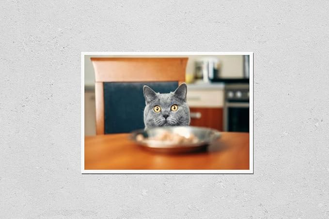 HardPress Wall Art Poster Print of Cat is Looking at Food Watches Over Food, Sly Beautiful British Gray Cat, Close-Up, Cat Looks Out from Under Table, Cat Steals Food