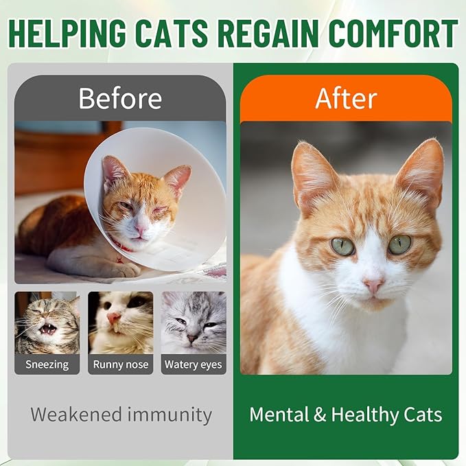 Cat L-lysine Supplement for Cats, Liquid Lysine for Cats - Immune Support Lysine Drops for Feline Respiratory, Sneezing, Runny Nose, Eye Function, Natural Strengthen Defenses, Chicken Flavor 60 ML