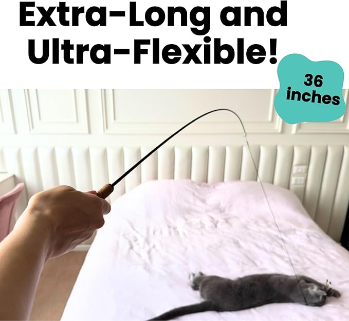 Forever Stick 2-Pack - The Unbreakable Cat Toy Wand, Extra Long Durable Interactive Cat Toy for Indoor Cats, Feather Kitten Toys for Bored Indoor Adult Cats, Bird Teaser Cat Accessories