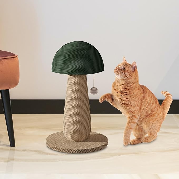 ing Posts, Cat Climbing Pole with Interactive Ball Toy, Grind Claw Cat Supplies Toy Cat Toy Sisal Rope Scratch Post, Mushroom, Green