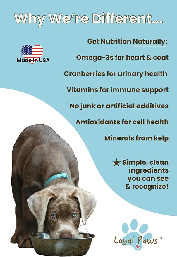 Wild Salmon Blend Raw Food Topper for Cats and Dogs, 6 oz, Natural Omega 3 Boost - 100% USA Made, Natural Dog Food Toppers