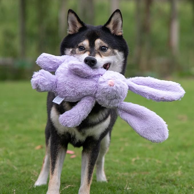 Best Pet Supplies Squeaky Dog Toys with Soft Durable Fabric for Small, Medium and Large Pets Interactive Toy for Indoor Play, Supports Active Biting and Play - Bunny (Purple), Small