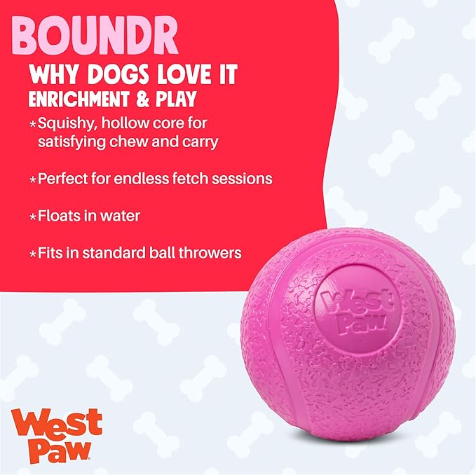 WEST PAW Boundr Ball Dog Fetch Toy – Bouncing Toys for Dogs, Fetch, Catch, Chewing, Play – Floatable, Recyclable Balls – Small Hotpink/Glow 2-Pack