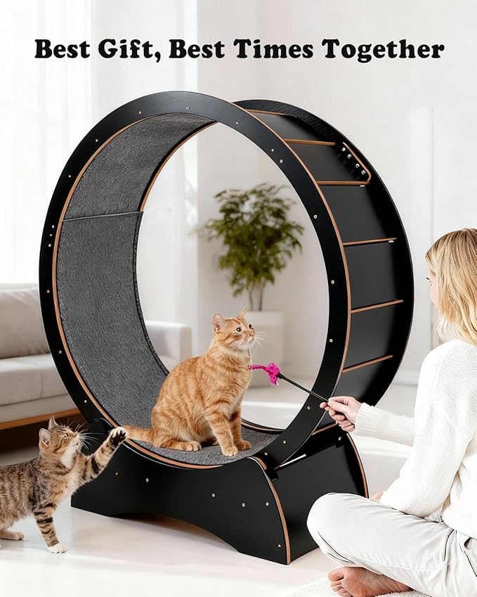 43.3" Cat Exercise Wheel for Large Indoor Cats, Black Cat Running Wheel with 2 Replacement Carpets, Silent Cat Treadmill with Locking Mechanism, Sturdy Cat Fitness Furniture for Cats up to 25 lbs