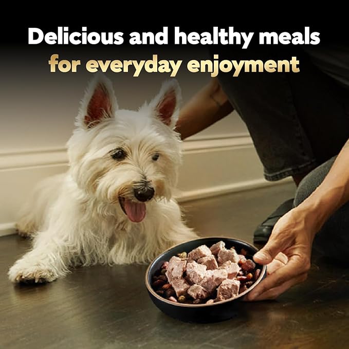 Cesar Wet Dog Food Classic Loaf in Sauce, Filet Mignon Flavor, Porterhouse Steak Flavor, Grilled Steak & Eggs Flavor, and Beef Flavor, 3.5 oz. Easy Peel Trays, Variety Pack, 60 Count