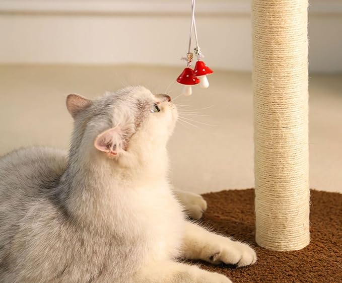 M8 Cat Scratching Post Replacement,13.4Inch Sisal Pole Cat Tree Replacement Post with Screws,DIY Scratcher,Pad, Crafts Gardening Hammock Home Decorating (White, M8*1poles*34cm/13.1inch)